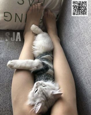 武松肉体粗喘娇吟潘金莲_手机在线免费观看